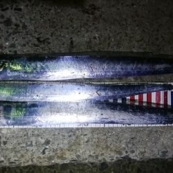 スローなテンヤ釣り